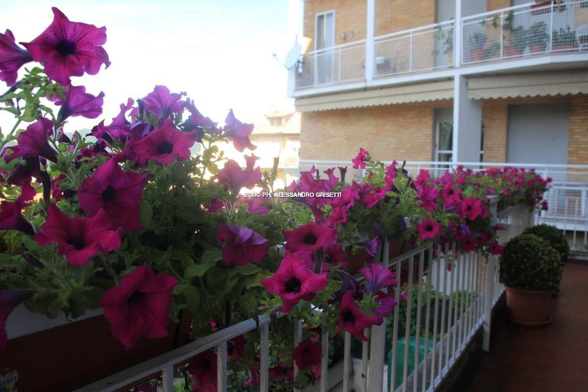 B&B Paradisett Côme Extérieur photo